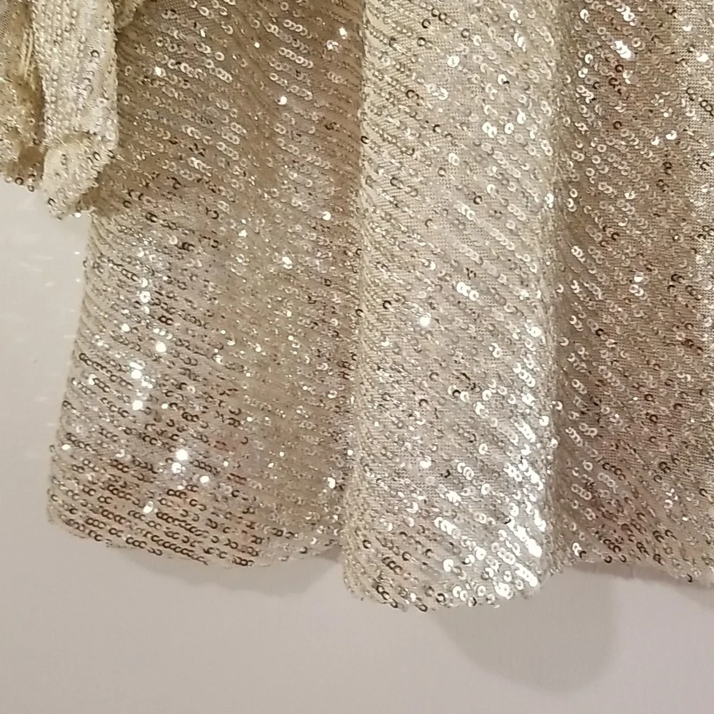 Free People sparkly sequin blouse - Picture 7 of 11